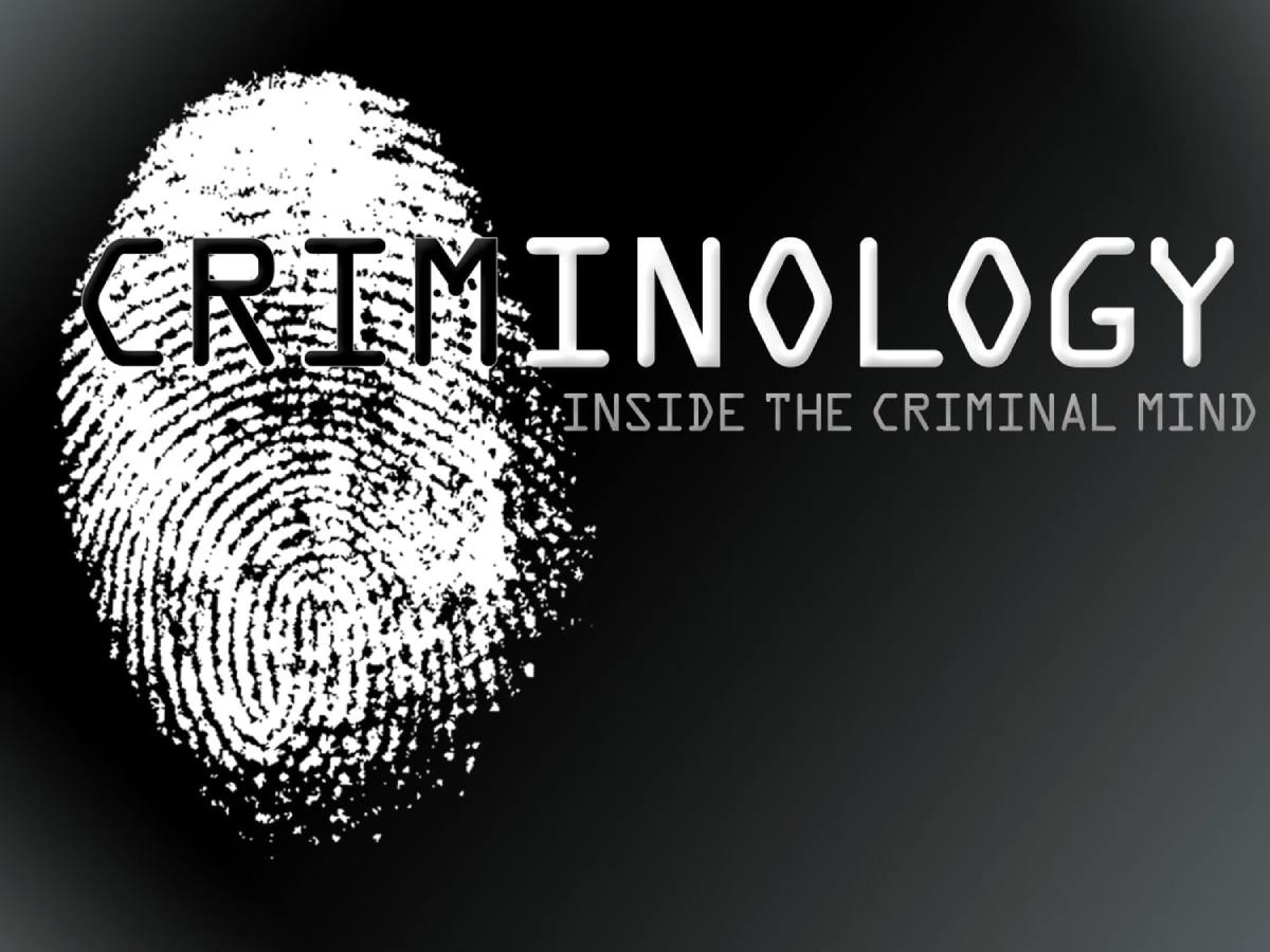 what is a criminologist