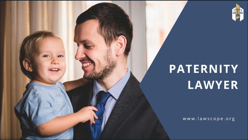 paternity lawyer