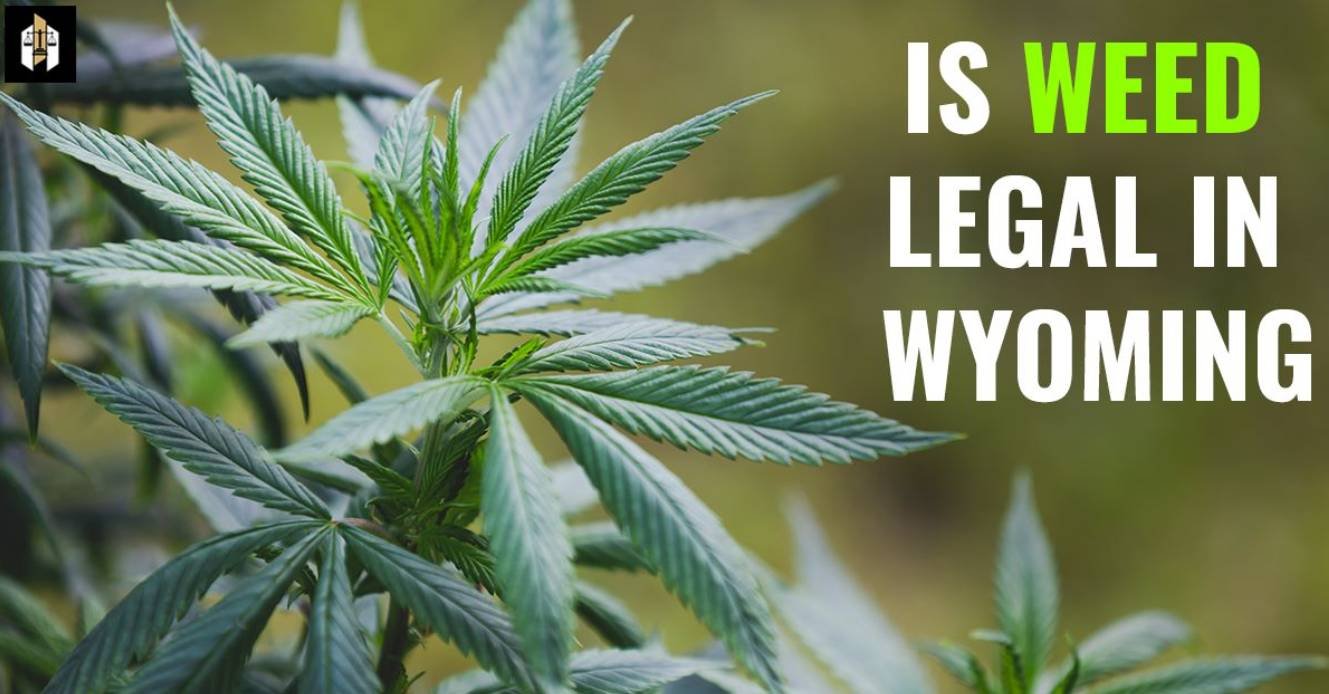 Is Weed Legal in Wyoming? Exploring Marijuana Laws in The Equality State
