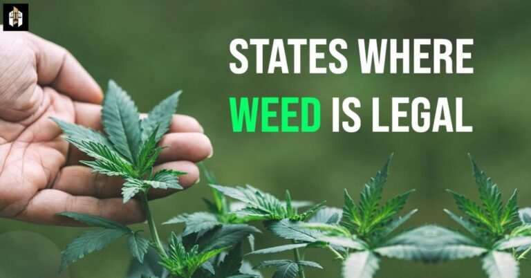 States Where Weed Is Legal in The USA - Lawscope