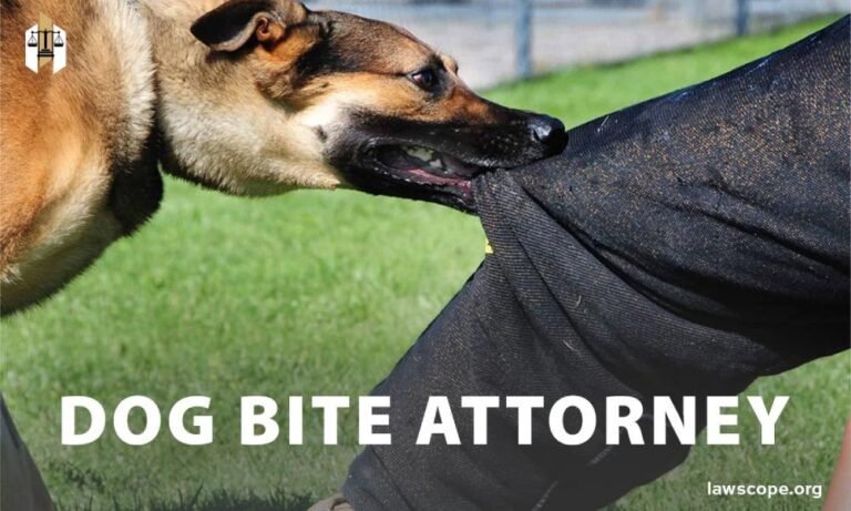 Dog Bite Attorney: Your Guide To Dog Bite Attorneys In 2023