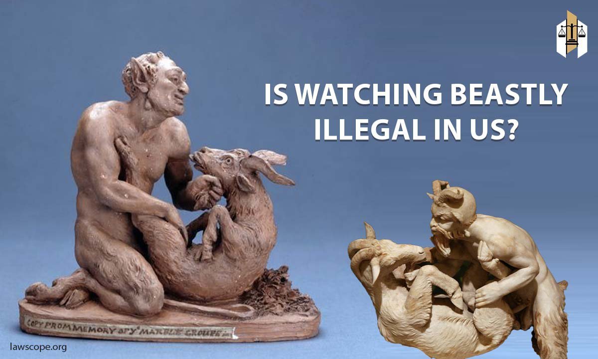 Is Watching Beastly Illegal in US? Bestiality Law