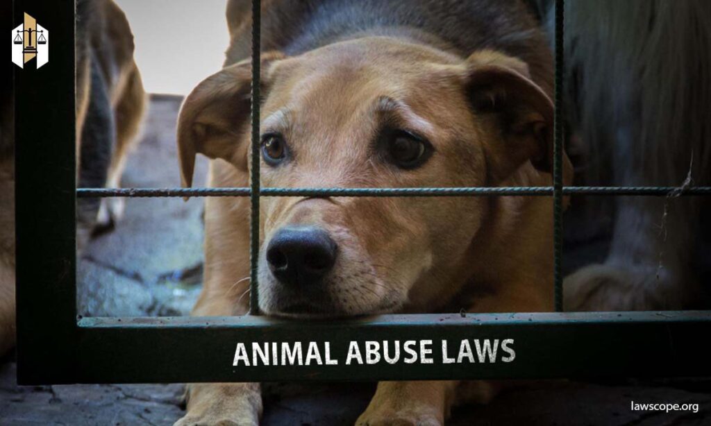 animal abuse laws